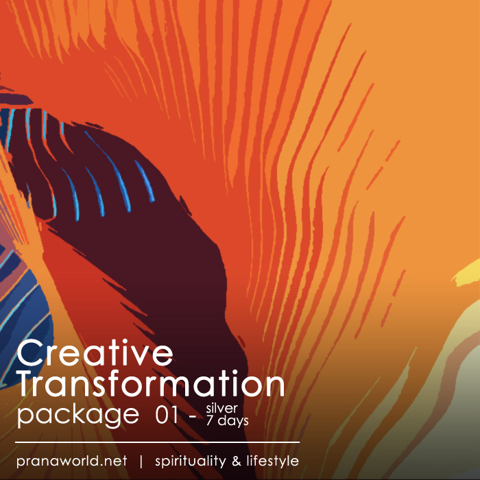 Creative Transformation Silver Package